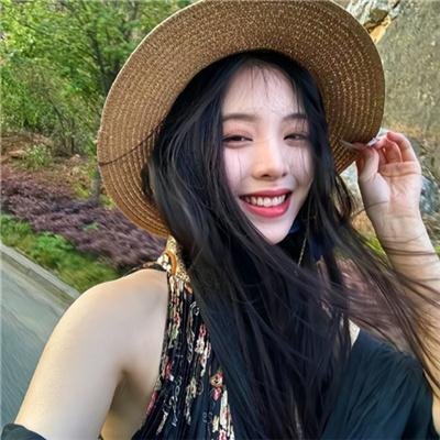 绽放的玫瑰